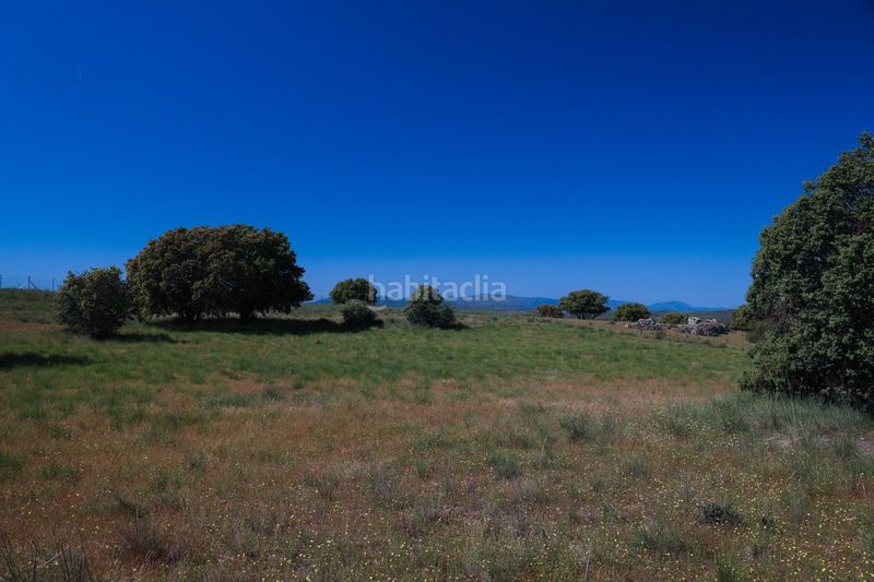 Foto 83887d17-3842-43f5-907f-8ce9be5f4b13. Finca rústica a Navalperal de Pinares