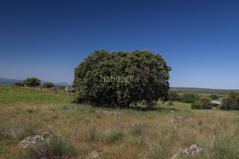 Foto a945d294-4339-4600-8d39-00ec5737e25f. Finca rústica a Navalperal de Pinares