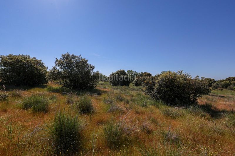 Foto b2487d5e-0ded-4369-8804-be979861ff55. Finca rústica a Navalperal de Pinares