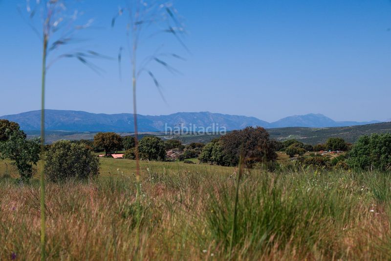 Foto d2f1406a-8d93-4a02-8f43-376a909a4add. Finca rústica a Navalperal de Pinares