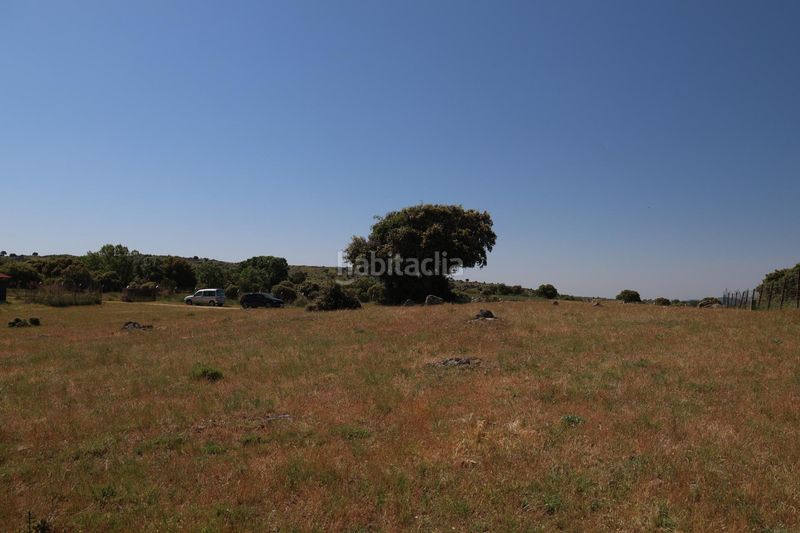 Foto d9ae3a1b-3b97-48e9-a89c-78bbfe00718f. Finca rústica a Navalperal de Pinares