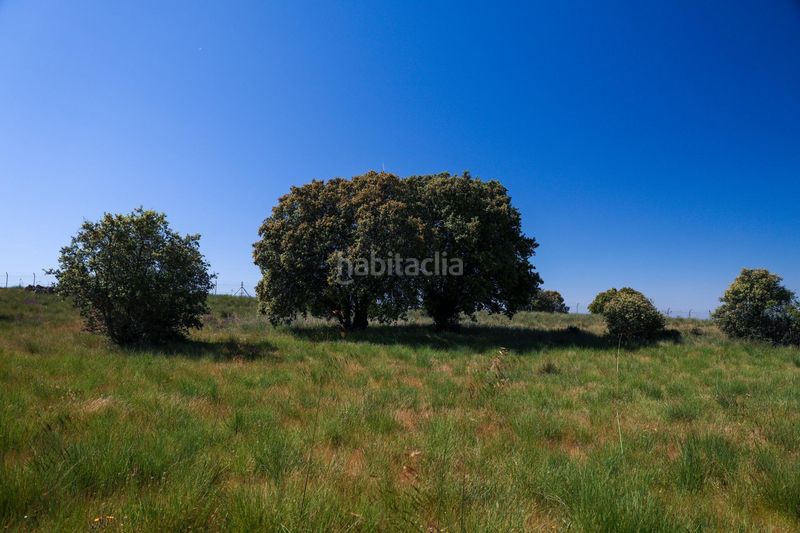 Foto dbae7301-7c53-4938-8bac-43c335f697c5. Finca rústica a Navalperal de Pinares