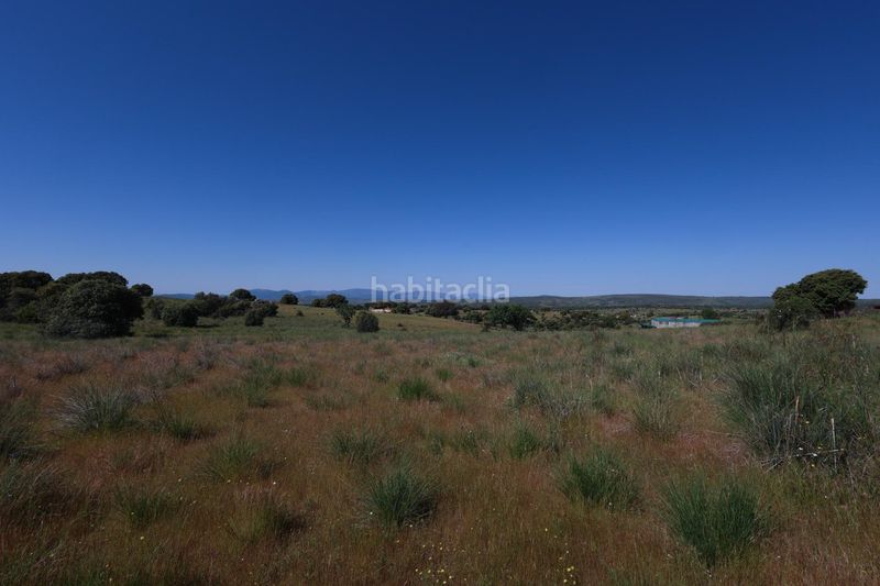 Foto df654a1b-fb97-4f87-956b-91190ea0ddc6. Finca rústica a Navalperal de Pinares