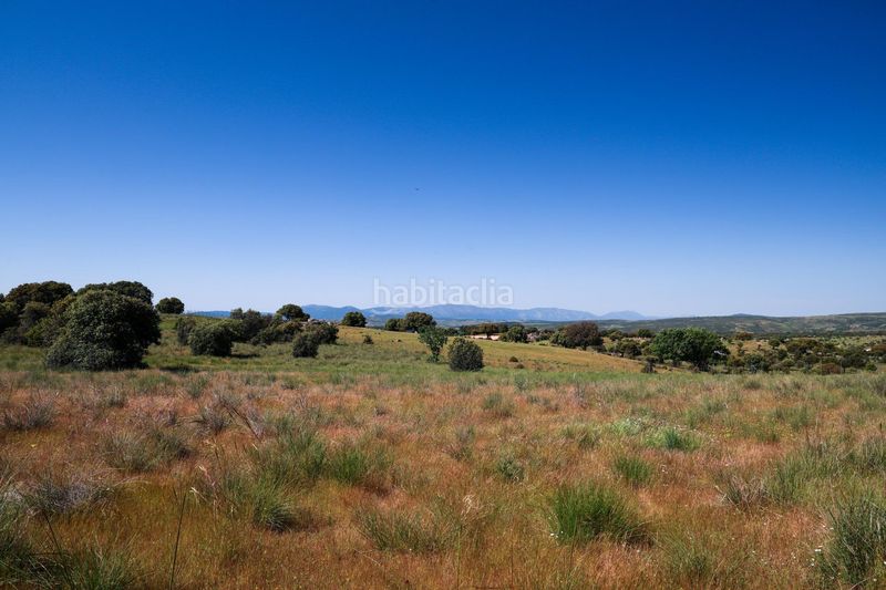 Foto e04ab571-6dc1-44f3-bbd4-fa844112f92d. Finca rústica a Navalperal de Pinares