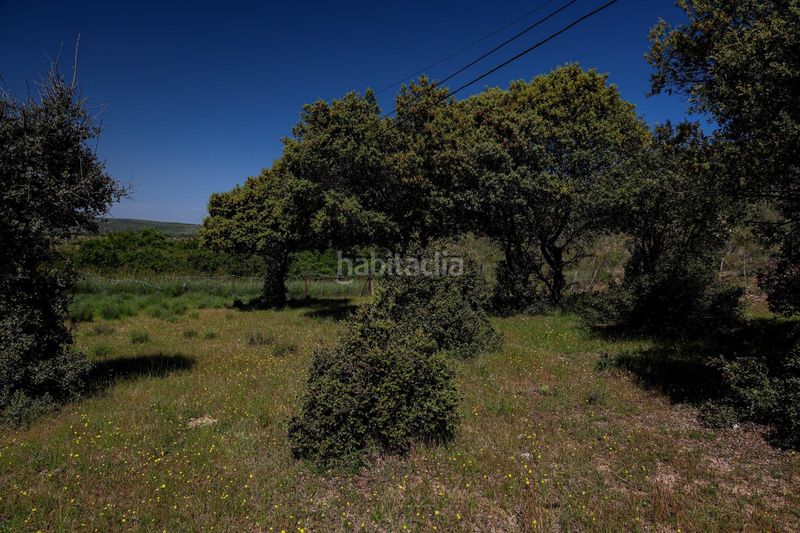 Foto e7bcd269-333c-43d9-b138-a0380f516579. Finca rústica a Navalperal de Pinares