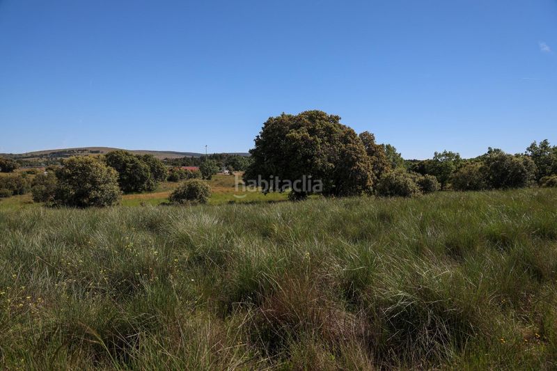 Foto f1897dcb-bb06-47ed-8d2e-b8eeab1f0920. Finca rústica a Navalperal de Pinares