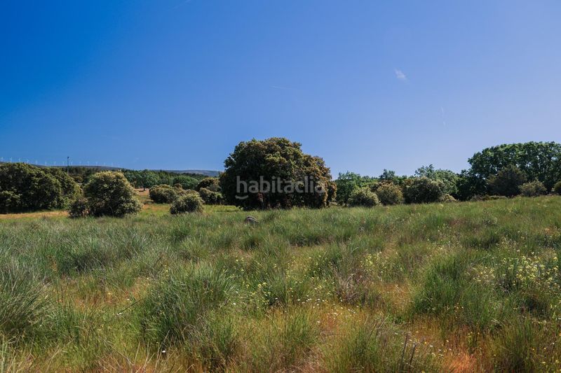 Foto f5631a93-f0ca-4a2b-82df-a11a7ccc8058. Finca rústica a Navalperal de Pinares