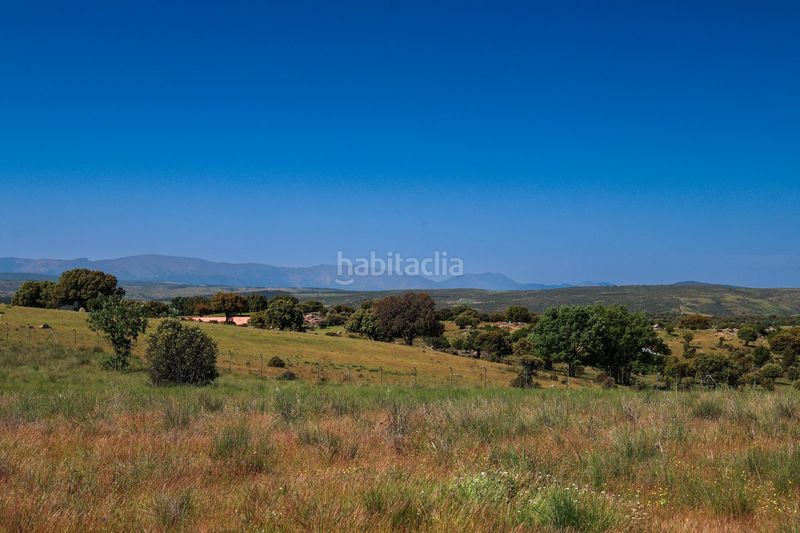 Foto fc6d6b25-3afc-4188-a26f-3e8060f6979e. Finca rústica a Navalperal de Pinares