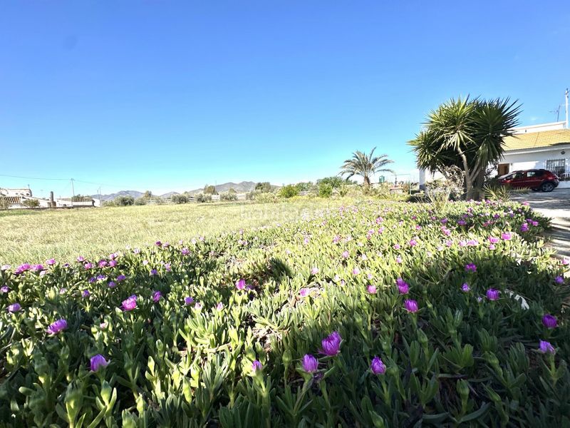 Foto 0f539e27-56a4-44c3-828a-44efc34c8861. Masia amb aparcament a Escucha Lorca