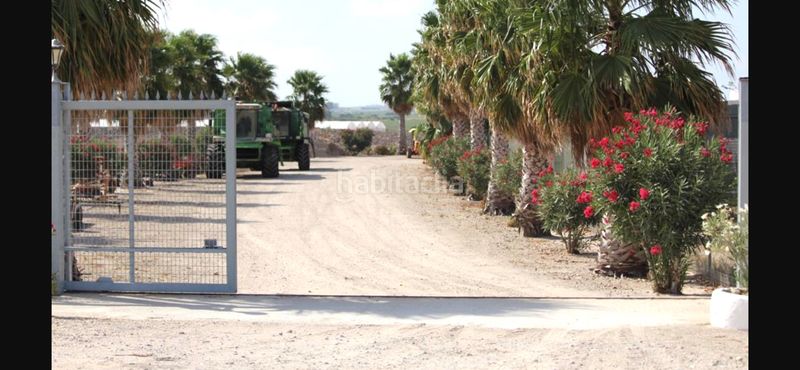 Foto 6d9c7e11-8fc7-40fa-acc8-d04f68b92125. Finca rústica a Cuatro Pinos - El Carmen Puerto de Santa María (El)