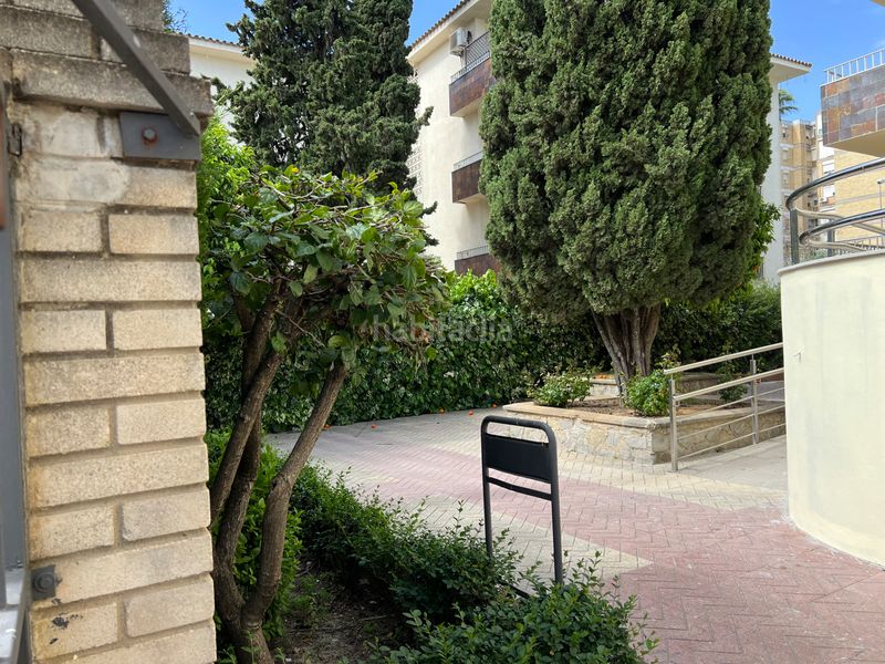 Foto 321c9d7e-21ab-4a59-9392-b3809d62fbb6. Pis a La Plata Jerez de la Frontera