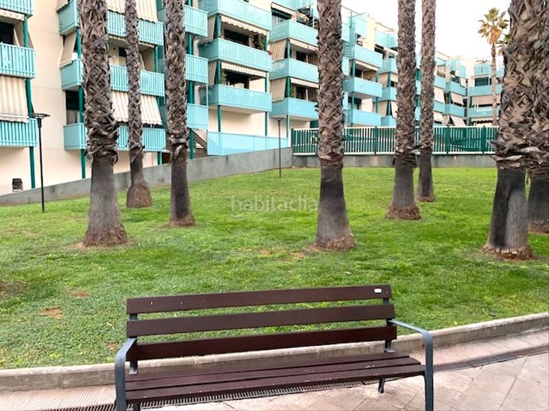 Foto 221dd57b-eeb8-4098-b079-95106b295ada. Pis amb calefacció piscina a Bufalà Badalona