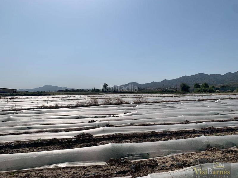 Foto f116aa3c-4071-453a-a31e-ad86ae52611e. Terreno residencial terreno en La Hoya Lorca