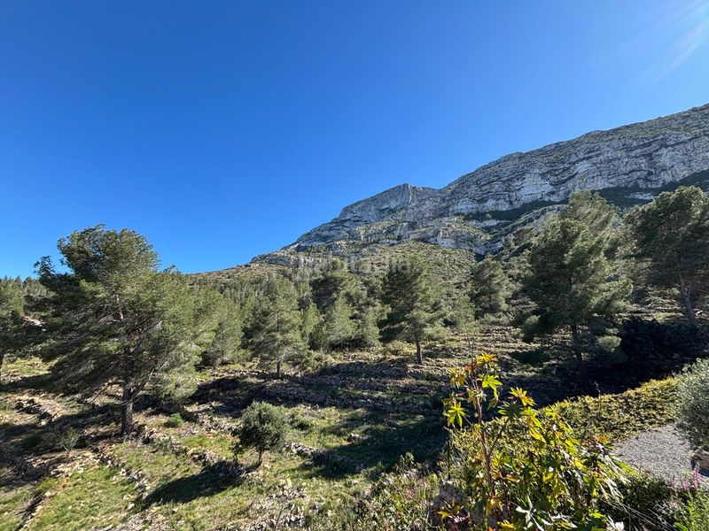 Foto f017e7a2-9f6f-4568-9196-b399c377785d. Terreno residencial en El Montgó Dénia