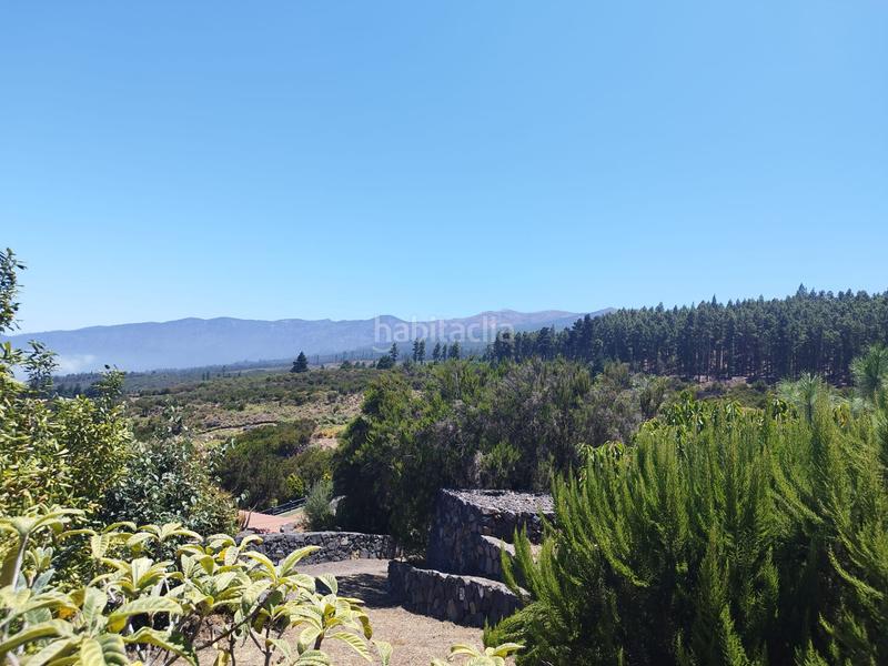 Foto 38884b86-1df2-4906-b833-ce16fb718cdf. Masía finca rústica en venta en las arenitas, Palo Blanco en Realejos (Los)