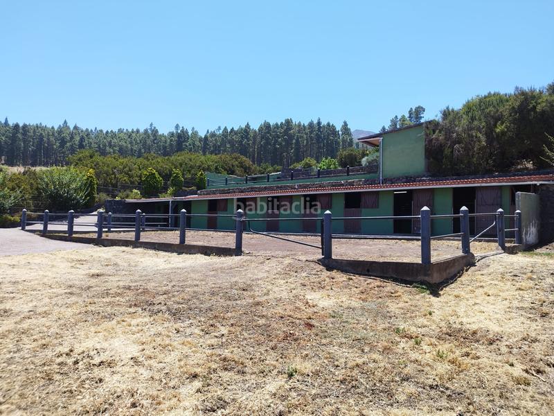 Foto 47b1a85c-8c78-48d4-8253-ec90e3446c7c. Masía finca rústica en venta en las arenitas, Palo Blanco en Realejos (Los)