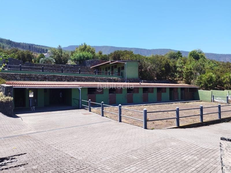 Foto e6ee91a4-72df-4441-898b-457860c07535. Masía finca rústica en venta en las arenitas, Palo Blanco en Realejos (Los)