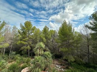 Chalet en Pedreguer