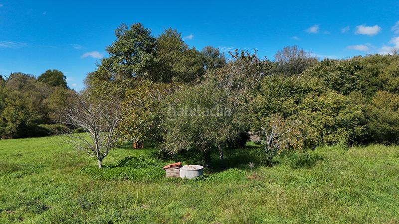 Foto db082317-4e42-43b5-81bd-79ca183b0dc8. Finca rústica a aldea devesa 9 a Rianxo