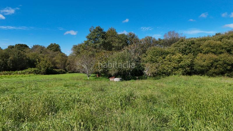 Foto de7c5a8c-637a-4665-b2dc-a3146f849dde. Finca rústica a aldea devesa 9 a Rianxo