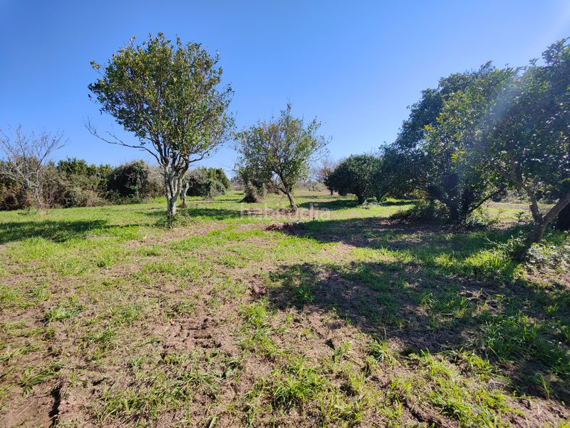 Foto c34f7f50-772f-4238-a495-c3f804713feb. Casa a aldea cortes 34d a Rianxo