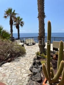 Foto 2b080773-5037-4804-8e63-1533f85bc454. Apartament amb calefacció piscina a Costa del Silencio Arona