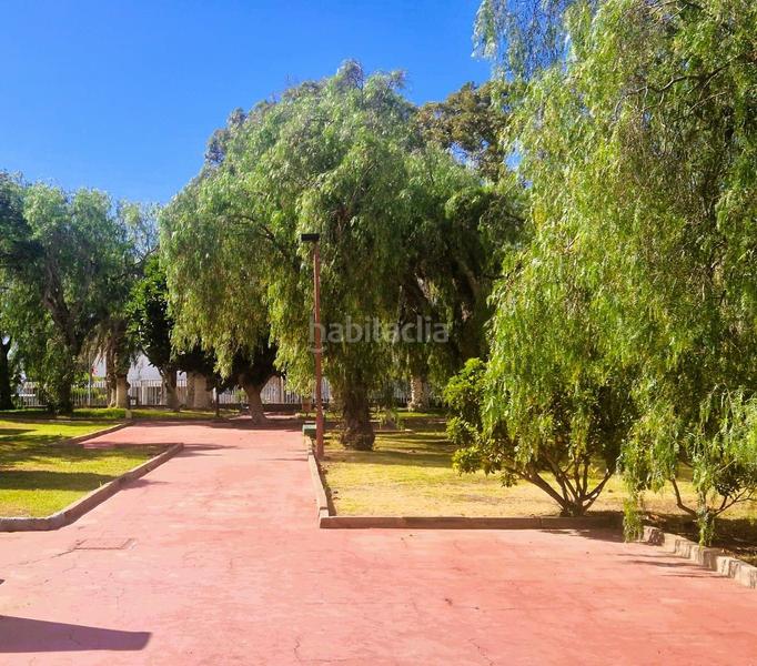 Foto 03288240-dee8-4228-bab9-c6759eb75fe5. Apartamento 1 habitacion apartamentoCosta del Silencio en Arona