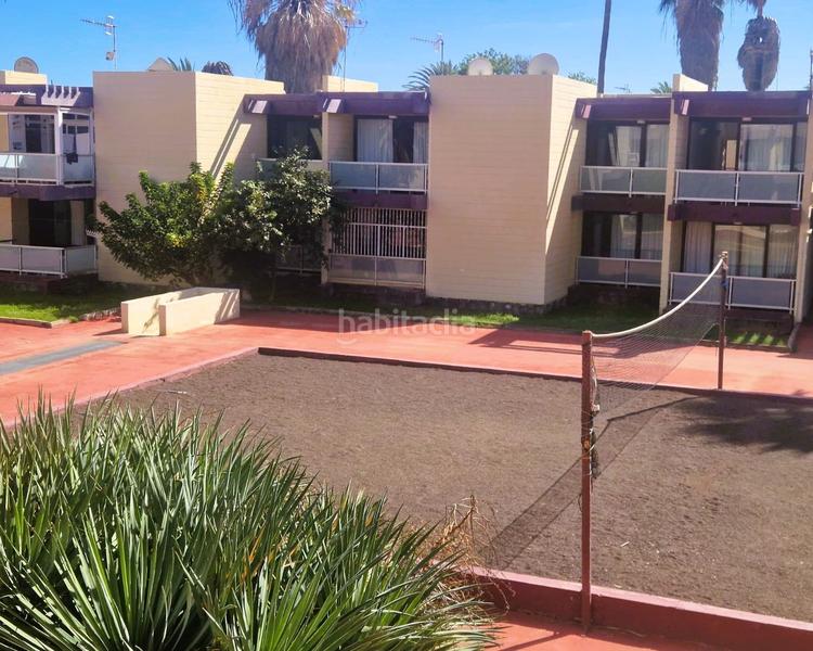 Foto 8141b987-6a6a-417c-8d76-368a22bcb7f5. Apartamento 1 habitacion apartamentoCosta del Silencio en Arona