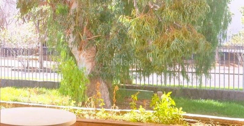 Foto c674ab2d-829c-4e60-816d-1a28e32af071. Apartamento 1 habitacion apartamentoCosta del Silencio en Arona