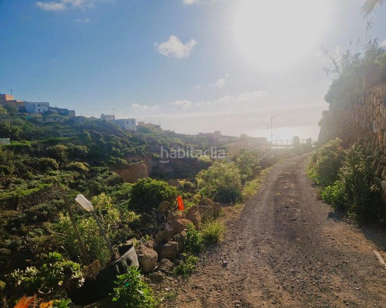 Foto 871f182f-022c-4a17-8a6c-dc3c05adbf02. Finca rústica 3 habitaciones finca en Fasnia