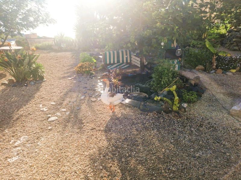 Foto aec2a419-37f8-4c0d-bd01-e4bf2a4e4b1d. Finca rústica 3 habitaciones finca en Fasnia