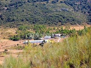 Terrain résidentiel à Partidas Sur. Exclusiva finca de 950 hectáreas en venta en ronda, málaga.