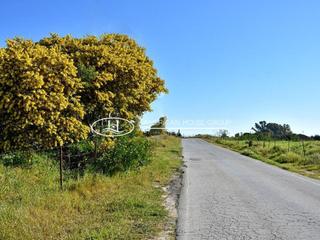 Terreny residencial  Canarias. Fantástica finca en venta en la zona de batería colorada, pinar