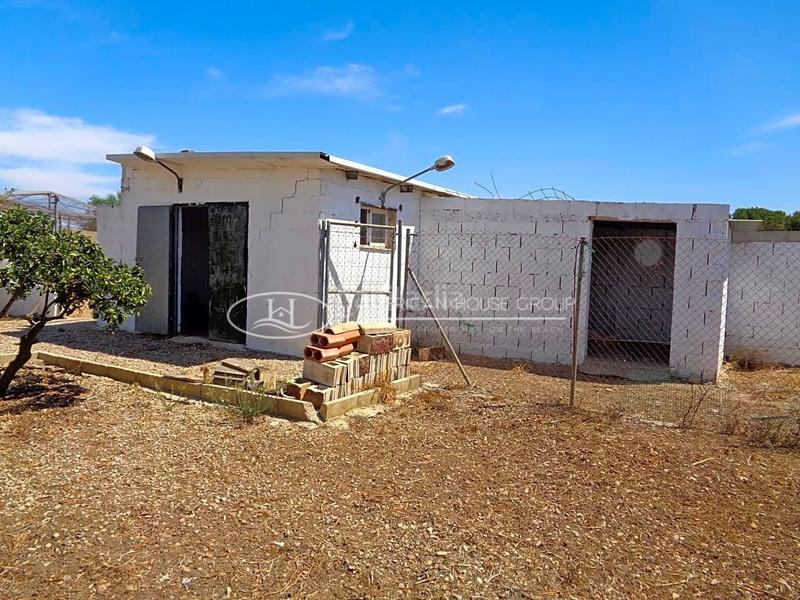 Foto 316cd9dc-f13e-4a89-b745-827afba9f372. Casa con piscina in Pelagatos - Pago del Humo Chiclana de la Frontera