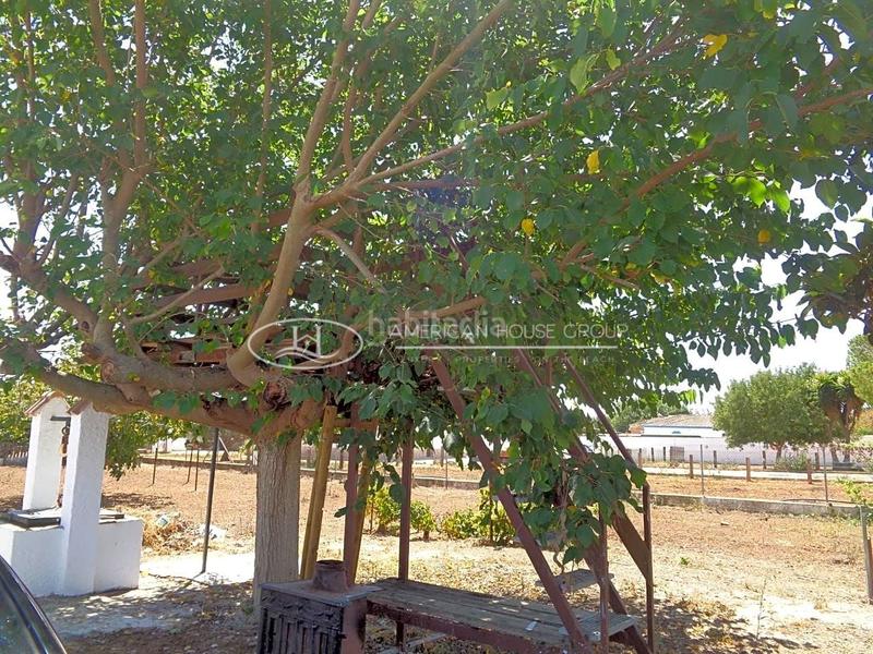 Foto 629da0d9-0205-4250-b04c-0bf64b19c90b. Casa con piscina in Pelagatos - Pago del Humo Chiclana de la Frontera