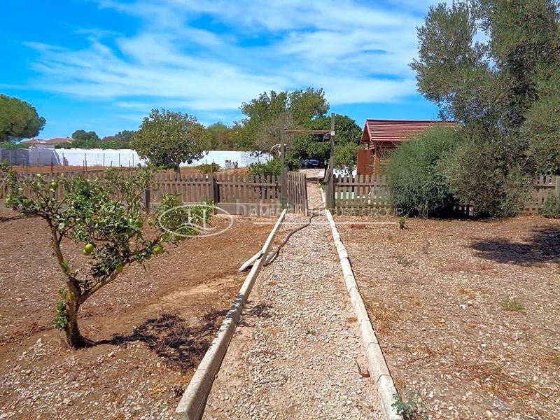 Foto 7a7a02e9-b04c-4d58-9e4b-907baa63b48c. Casa con piscina in Pelagatos - Pago del Humo Chiclana de la Frontera