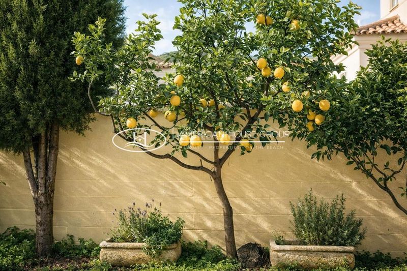 Foto 6fd53635-b84e-4f71-a342-61657ef0d325. Casa a Los Gallos Chiclana de la Frontera