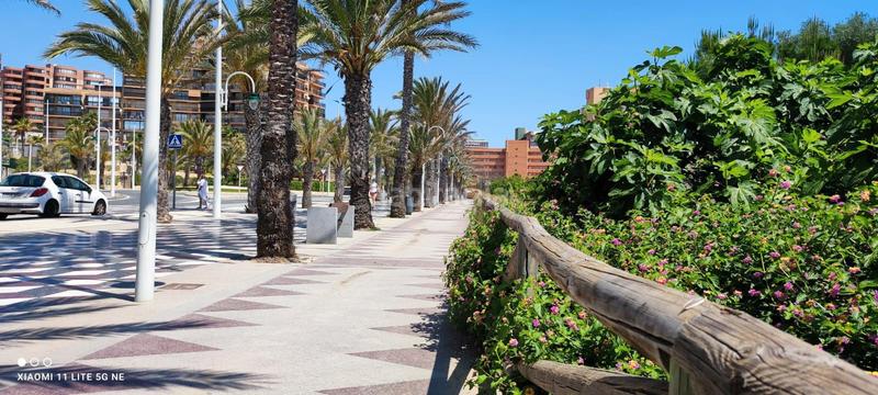 Foto 7e7d938f-0c55-4277-89e9-25d9aa3d781a. Planta baja apartamento en planta baja en primera línea de playa en Elche / Elx