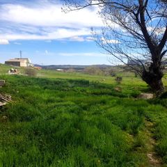 Terreny residencial  San ginés. Solar urbano