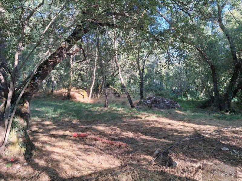 Foto 11adb421-318c-458a-9df7-550de4a6dd49. Masia a Bustarviejo