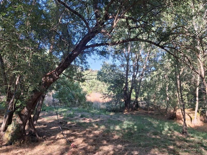 Foto 1abf1974-ca38-4079-a440-199c4f9a9fdf. Masia a Bustarviejo