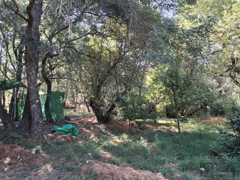 Foto 2c37ae4c-cf51-4c58-8d4e-70f7c2129928. Masia a Bustarviejo