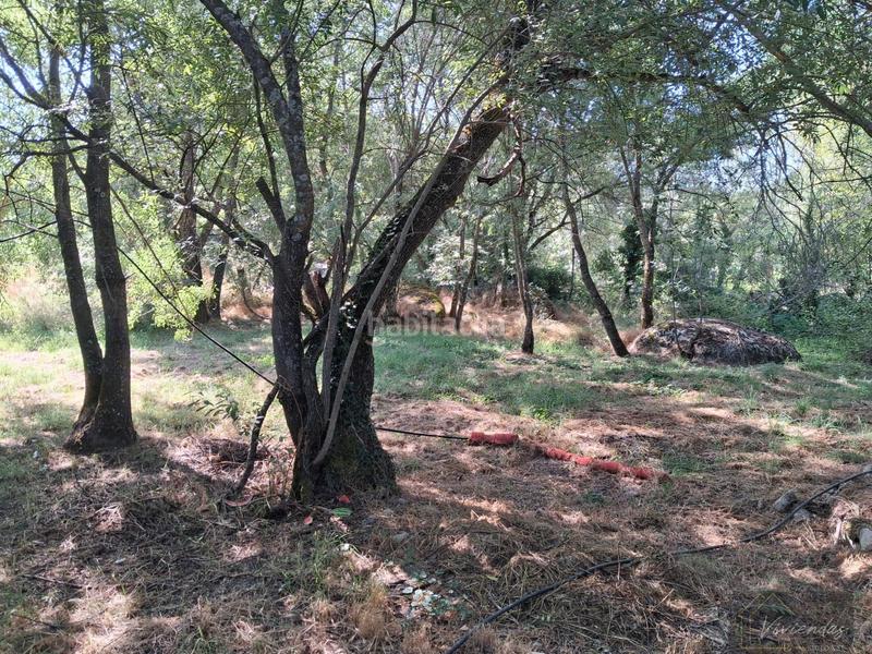 Foto 79e38815-cbbe-456d-81b9-eeda450beb31. Masia a Bustarviejo