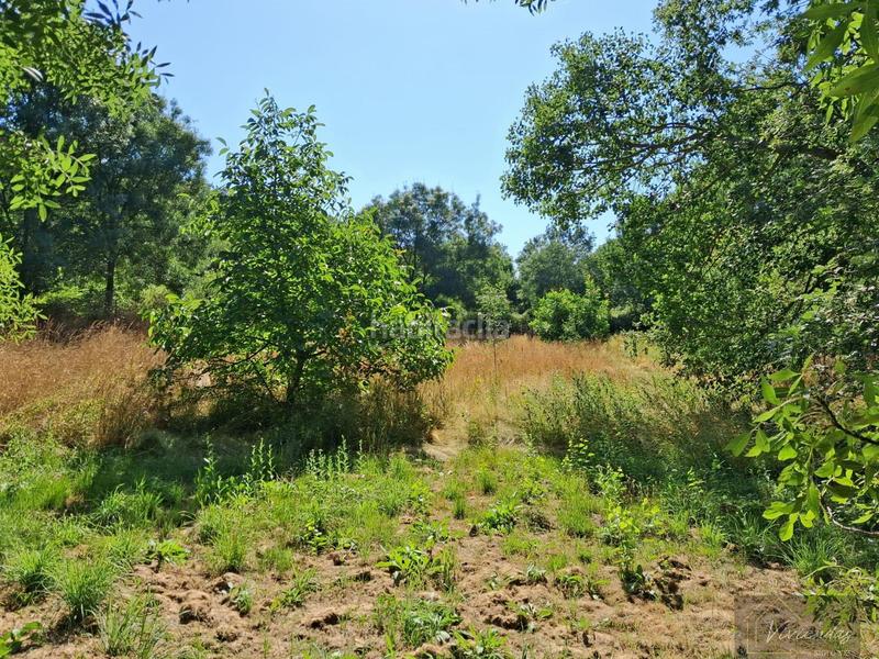 Foto 9de8a30d-fde0-431f-a5e4-09fa4eff1c46. Masia a Bustarviejo