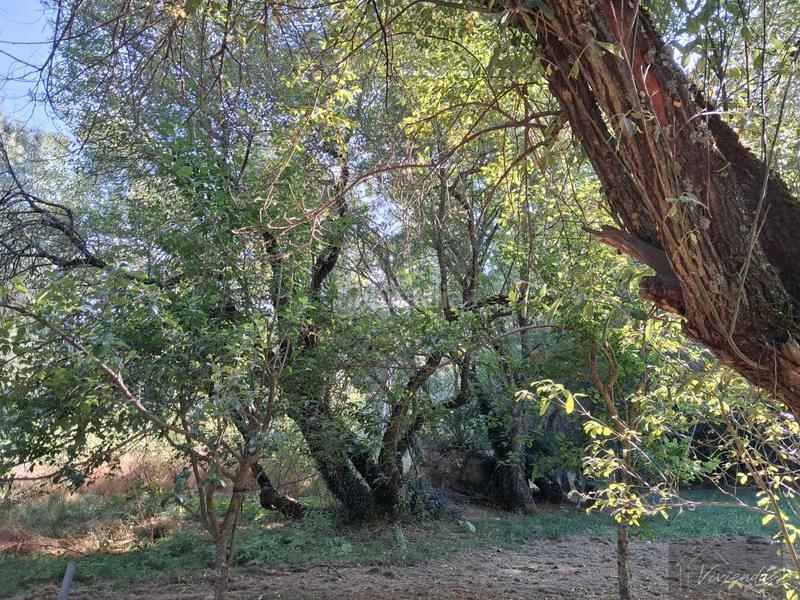 Foto a0cb1731-44a8-4cf2-a14e-261f00d01844. Masia a Bustarviejo