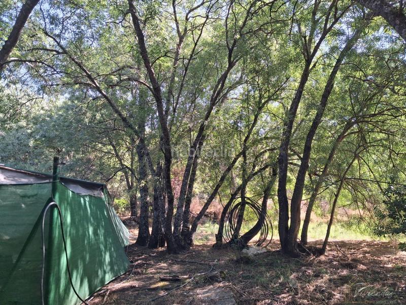 Foto a0f3118f-918a-49d2-ac05-2e6cb5b08e1e. Masia a Bustarviejo