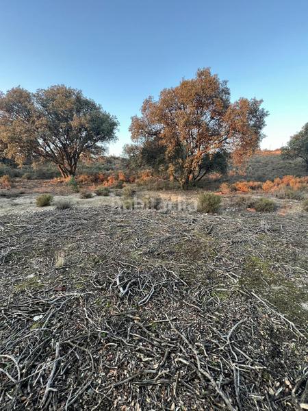 Foto 13f6d6b6-57f5-4d95-9271-d5b7444842c2. Casale in los arrinques in Brunete