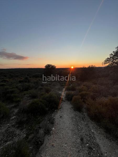 Foto 2210a3e2-b2a8-496a-8fae-def4686b1a83. Casale in los arrinques in Brunete