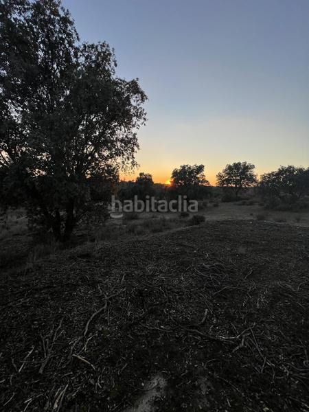 Foto 2d103525-daa5-4768-a2f6-abde1e35dcec. Casale in los arrinques in Brunete