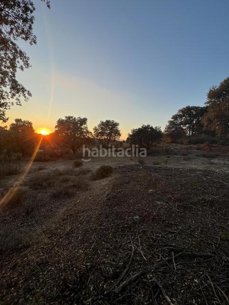 Foto 7719fa92-ed03-4dc9-96d9-ed8cc95e6615. Casale in los arrinques in Brunete